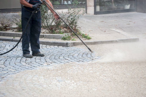 Best Sidewalk and Walkway Cleaning  in Rayville, LA