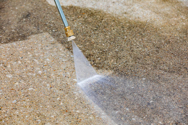 Best Animal Enclosure Cleaning  in Rayville, LA