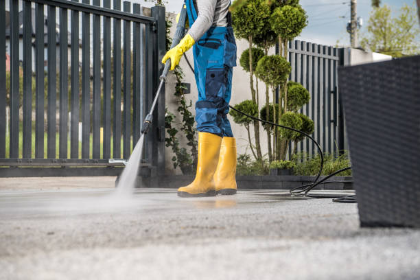 Best Driveway Pressure Washing  in Rayville, LA